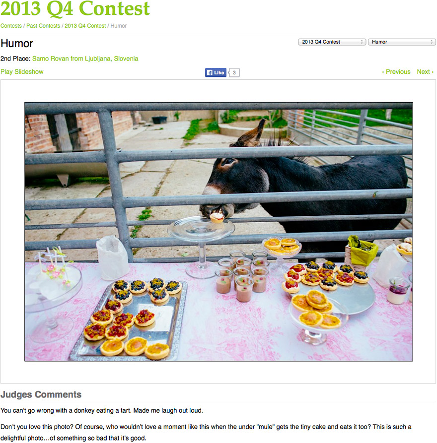 wpja-award-Samo-Rovan-destination-Wedding-Photographer-contest-2013-05